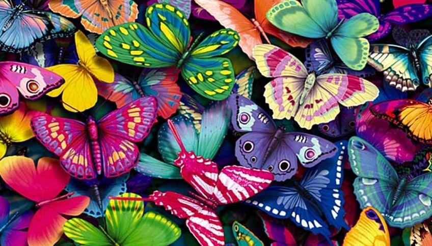 Una farfalla, sbattendo le ali in America... Una farfalla, sbattendo le ali in America...